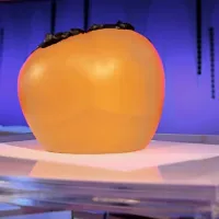 Kdo bo osebnost Primorske meseca oktobra, bo znano prihodnjo soboto