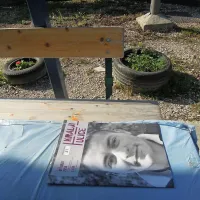 Časopis Kralji ulice smo kupili pri Danilu, ki se ni želel fotografirati, a nam je povedal, da sta ga v osebni stečaj in brezdomstvo, ki se ga je rešil, pahnili propadla družba SCT in prav tako propadlo Primorje
