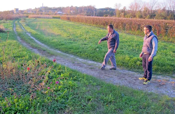 V Dragi je Vipava doslej poplavljala le njive (na fotografiji), a krajani se bojijo, da bo voda ob naslednji povodnji zaradi nasipa na nasprotnem bregu reke segla dlje, do bližnjih hiš 