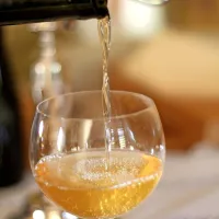 Slovenci smo pridelovalci vina in žganja, žal pa tudi mokra kultura, preveč prizanesljiva do opijanja