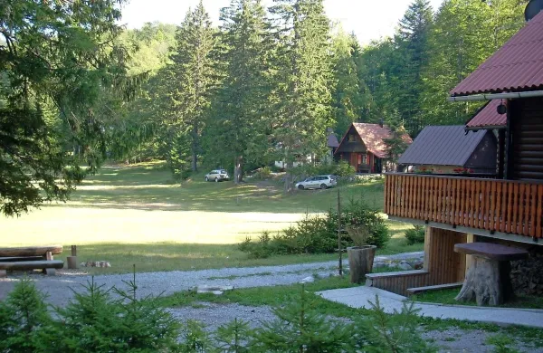 Sviščaki