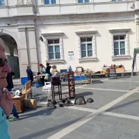 Predstavili so poslovne ideje