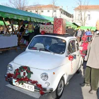 Predstavili so poslovne ideje