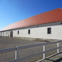  Vzhodno krilo hlevov na Borjači, ki so mu ravnokar obnovili streho,  odtoke meteornih voda in strelovode. Streho so prekrili s  kritino, imenovano bobrovec. Hlev na Borjači, v katerem je v prosti reji nameščenih 76 kobil z žrebeti,  je grajen  v obliki