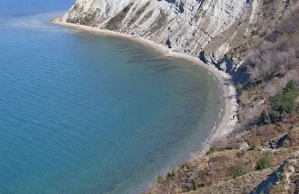 V Mesečevem zalivu je včeraj dopoldne sprehajalka opazila truplo