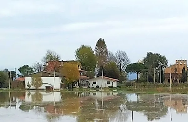 Tržič