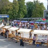 Poletni festival Zmaj 'ma mlade prijetno bogati Postojno