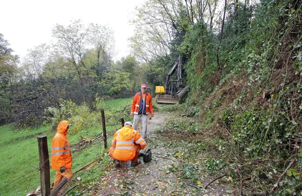Na Poti na Mark se je zaradi obilice dežja sprožil manjši zemeljski plaz 