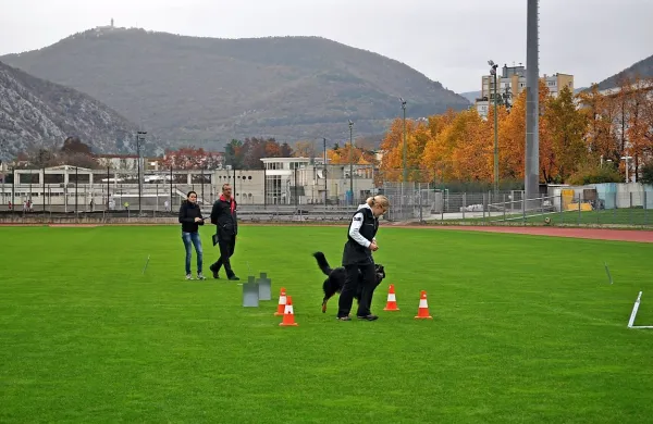 Rally Obedience v  Sloveniji poznamo deset let 