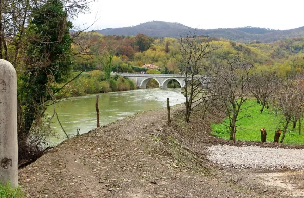 Nasip je obvaroval polja, da jih ni zalila reka Vipava