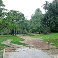 Od treh sprehajalnih poti so na željo bližnjih stanovalcev ohranili le eno 