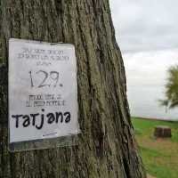 Drevo po imenu Tatjana
