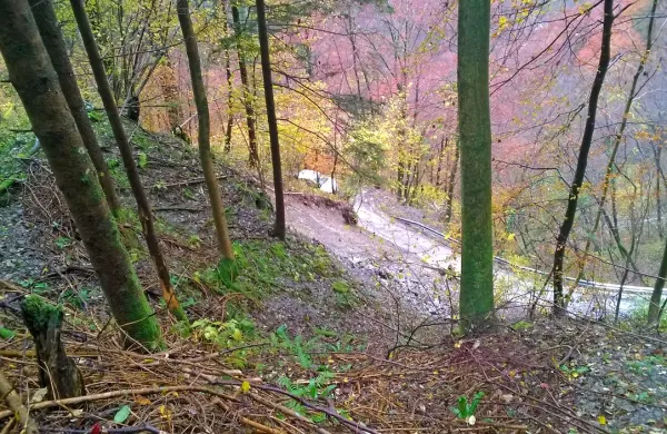Grozeči material s polomljenimi drevesi vred bodo danes odstranjevali   ročno in s pomočjo strojev 