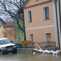 Dogajanje v vasi je s poplavnih vreč začudeno spremljal tudi pes
