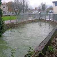 Potok Bistrica je včeraj zjutraj narasel do vrha