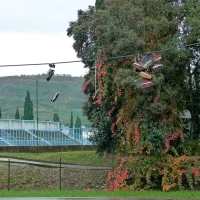 Skejterji so razobesili odvržene športne copate in dele skejtov 