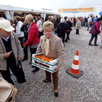 Zlata jabolka na sto in en način