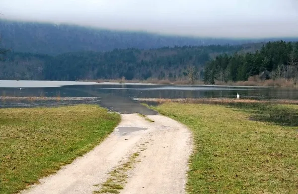 Na Cerkniškem jezeru se gladina vode počasi zvišuje