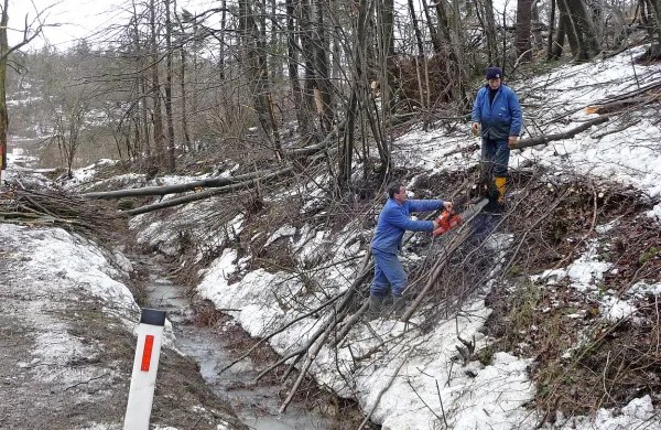 Od februarja do danes so pele žage v poškodovanih gozdovih. Po zaslugi delavcev, lastnikov in gozdarjev bo vsaj večina smrek do pomladi posekana in s tem preprečen razvoj škodljivih podlubnikov na zdrave dele gozdov. 