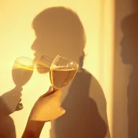 Alkoholizem pesti moške in ženske, po alkoholu vse bolj in vse prej posegajo že mladostniki in mnoge zajame vrtinec odvisnosti 