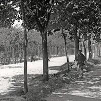 Na podstre&scaron;ju v Trstu odkrili mali fotografski zaklad