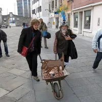 Mislomet Franja Frančiča