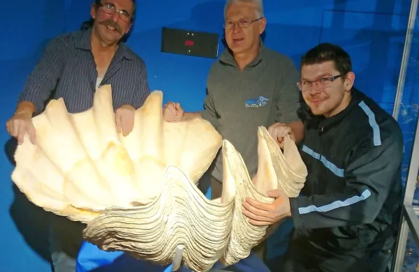 Na ogled tudi 150-kilogramska &scaron;koljka