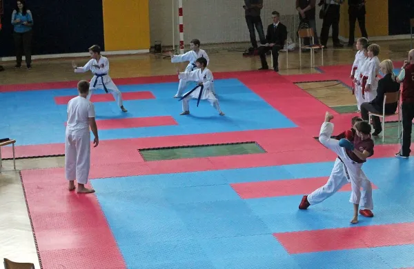 V Kanalu se je na tatamijih borilo kar 375 tekmovalcev