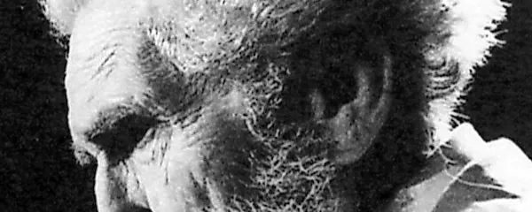 Oče moderne poezije Ezra Pound se je Koprčanu Andreasu Divusu poklonil 
v Cantih,  svojem temeljnem delu