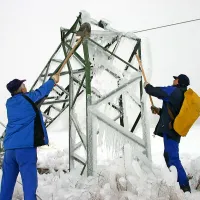 Žled na Postojnskem februarja letos