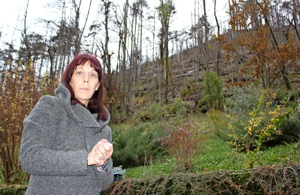 Ana Kocjančič Tomazin pravi, da po žledolomu na spi več mirno. Proženje kamenja s strmega pobočja Soviča na njen vrt in dvorišče je postalo skoraj vsakodnevna stalnica.