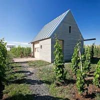 Nagrada piranesi Madžaroma za vinsko teraso