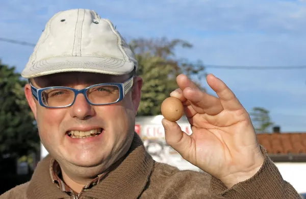 Tudi koko&scaron;ke občutijo krizo?