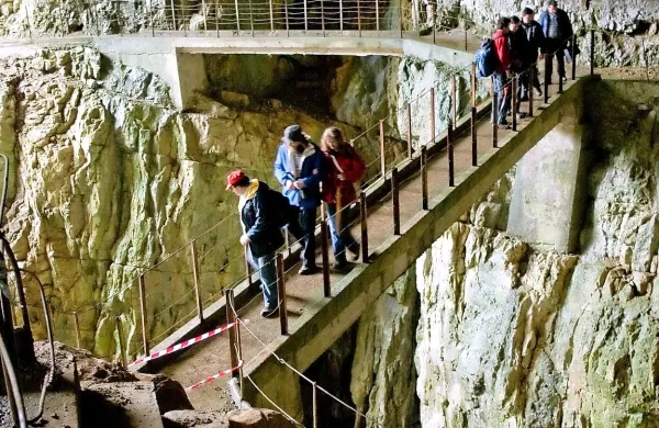 Bo nad Škocjanskimi jamami bdel Stojan Ščuka, ki je bil zadnje leto vršilec dolžnosti direktorja, ali bodo svetniki izbrali nekoga izmed preostale trojice prijavljenih? 
