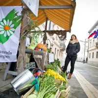 Koprska Komunala je akcijo pripravila skupaj z Agrario
