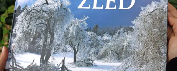 Na naslovni fotografiji, ki jo je posnela Mojca Požar Štunf, se prepletata lepota in krutost. 