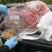 Gibanica med mešanimi odpadki na ekološkem otoku ob cesti proti Kortam. 