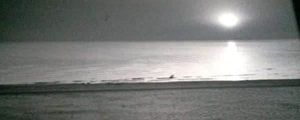  Liepaja kot je prikazana v filmu The Shoe (Čevelj), 1998, nekdaj meja Sovjetske zveze.   