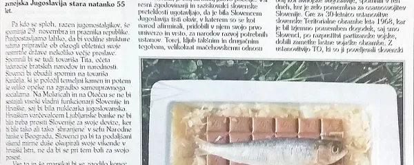 Koper brez volitev