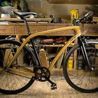 Tratar Bikes je projekt tričlanske ekipe, ki je razvila lesena mestna kolesa s prestavami ali brez. Celotno kolo tehta približno 11 kilogramov, sam okvir pa okoli dva kilograma, kar je primerljivo s kolesi iz aluminija, je pojasnil glavni oblikovalec