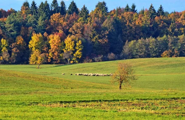 Fotografija je simbolična.