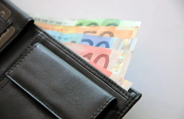 Furs poziva k mesečnim plačilom akontacije dohodnine od dohodkov v tujini.