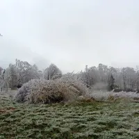 Do elektrike z agregati