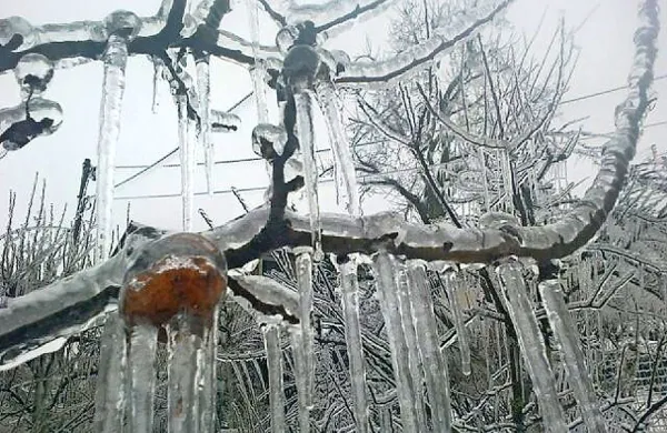 Oranžna stopnja ogroženosti za poledico in žled v krajih nad 600 metrov nad morjem  velja še danes.