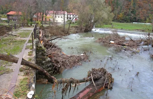 Struga reke Reke po zadnjih poplavah pri Žagarjevi domačiji. Na Arsu napovedujejo, da bodo do konca leta 2015 izpeljali čiščenje naplavin in moteče zarasti  vse do ponora Reke v Škocjansko jamo. 