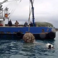 Iz morja izvlekli tri mine