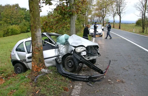 Najcenejši in najhitrejši način za izboljšanje prometne varnosti bi bilo žaganje obcestnih dreves, pa se tega nihče ne domisli, kaj šele ukaže. Drevesa ob nekaterih cestah tako iz leta v leto pobirajo krvavi davek. 