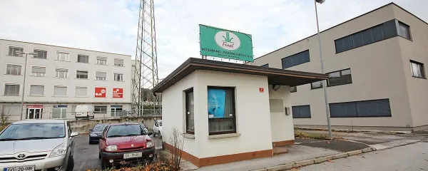 Final, podjetje, ki je doživelo bliskovit vzpon in prav takšen zaton. 
