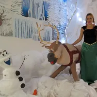 Sežanska srednja šola ima po zaslugi dijakov aranžerstva vedno zanimive dekoracije. Te dni utripa s podobami iz filma Ledeno kraljestvo.   