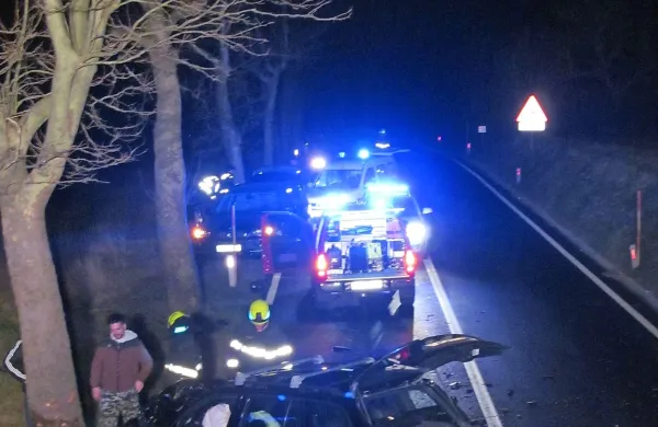 Voznik terenca je zapeljal s ceste in trčil v drevo.